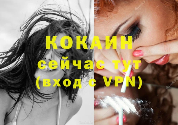 молекула духа Гусиноозёрск