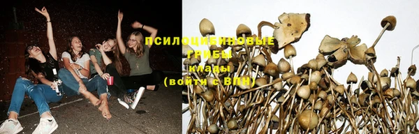 меф Гусев
