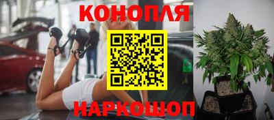 спайс Канаш
