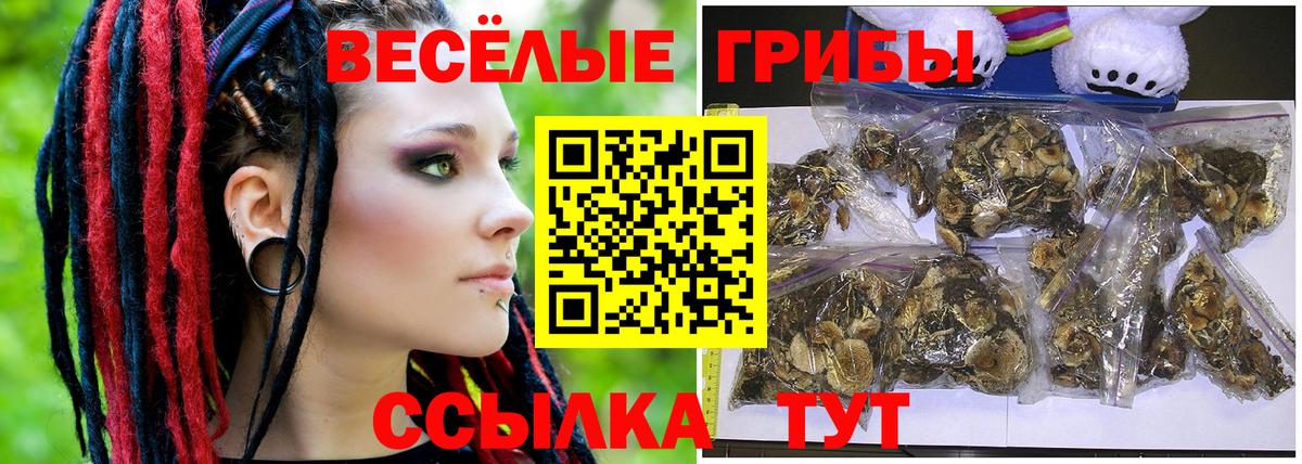 Псилоцибиновые грибы мицелий Коломна