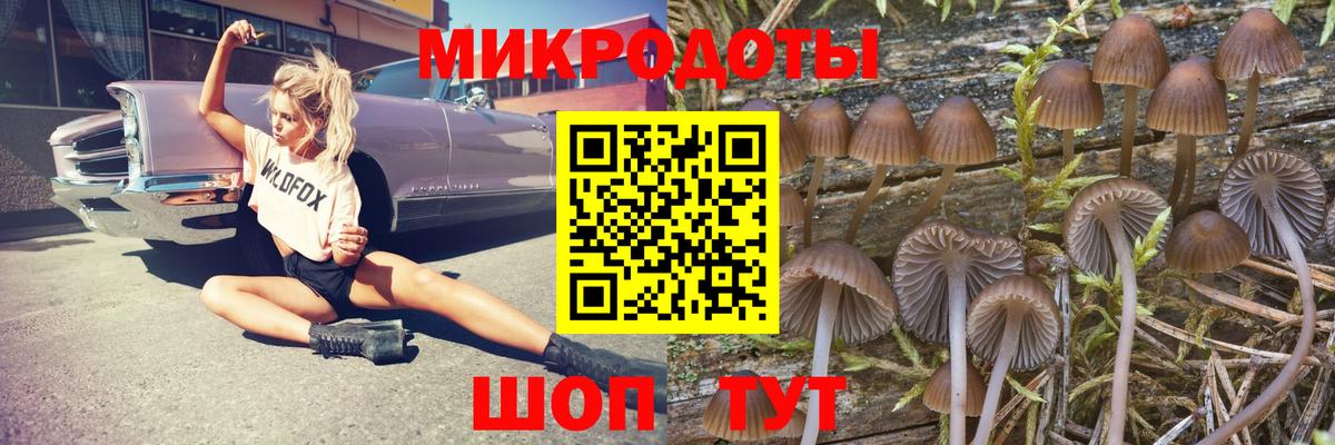 Галлюциногенные грибы Cubensis  где продают наркотики  Коломна  Вход с VPN 